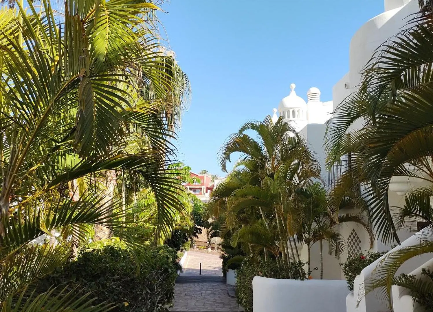 Apartment Adeje Paradise Playa Paraiso  Spain